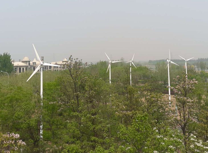 5fd85ccb2ac3a.jpg 04.jpg